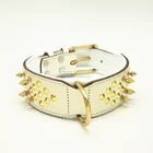 Luxury Soft Padded 2 inch width Genuine cow Leather Brass spiked large pitbull dog collars