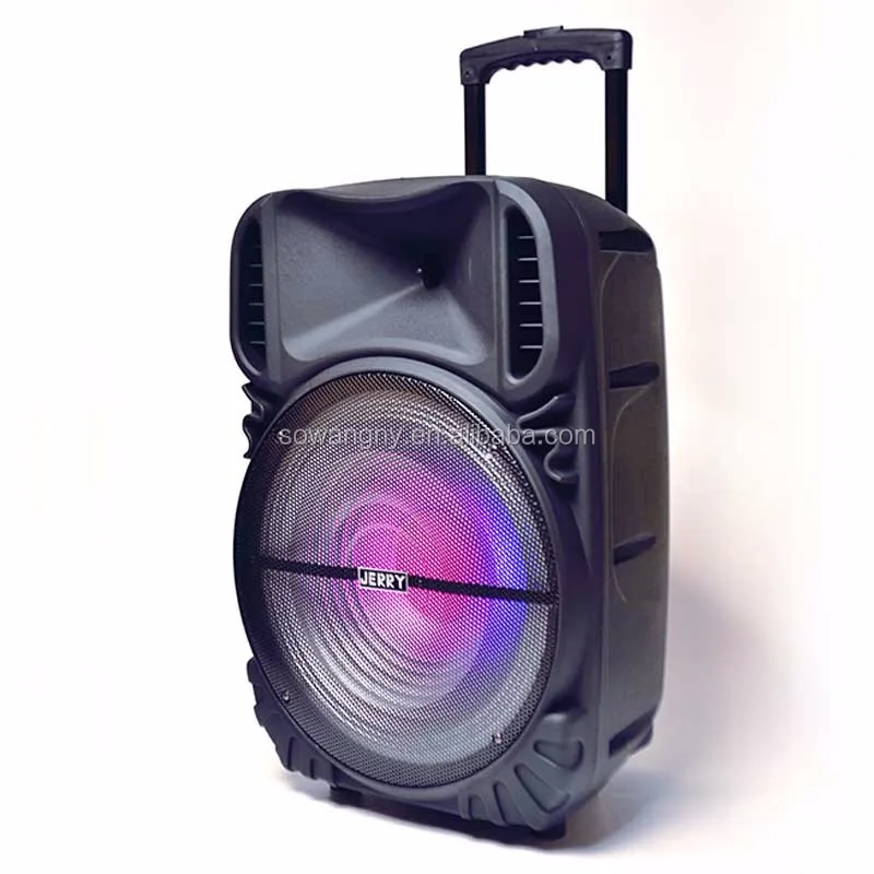 2019 Hot selling portable 15 inch karaoke trolley speaker - ANKUX.COM