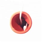Huarui OEM S45 Plasma Torch Head Body with PD0116-08 Nozzle and PR0110 Electrode for Trafimet S45 Plasma Cutting Torch