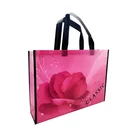 Guangzhou Customized Printed Promotion Tote Eco Friendly Fabric PP Laminated Non-Woven Shopping Bags