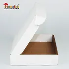 Plain White Gloss Lamination Custom Made Foldable Printed Corrugated Cardboard Shipping Mailer Carton Express Box