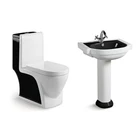water closet pedestal toilet wash basin, washdown wc western toilet