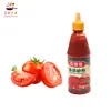 Chinese wholesale bottle ketchup for pizza