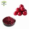 Wholesales Cranberry Fruit Powder Prices Capsules