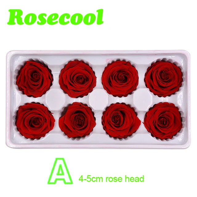 rosecool 4-5cm rose head preserved flower real natural preserved