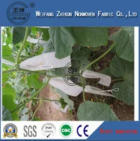 Anti UV Protector In PP Polypropylene