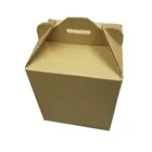 CORRUGATED CARTON BOX FOR CAT CARRIER BOX