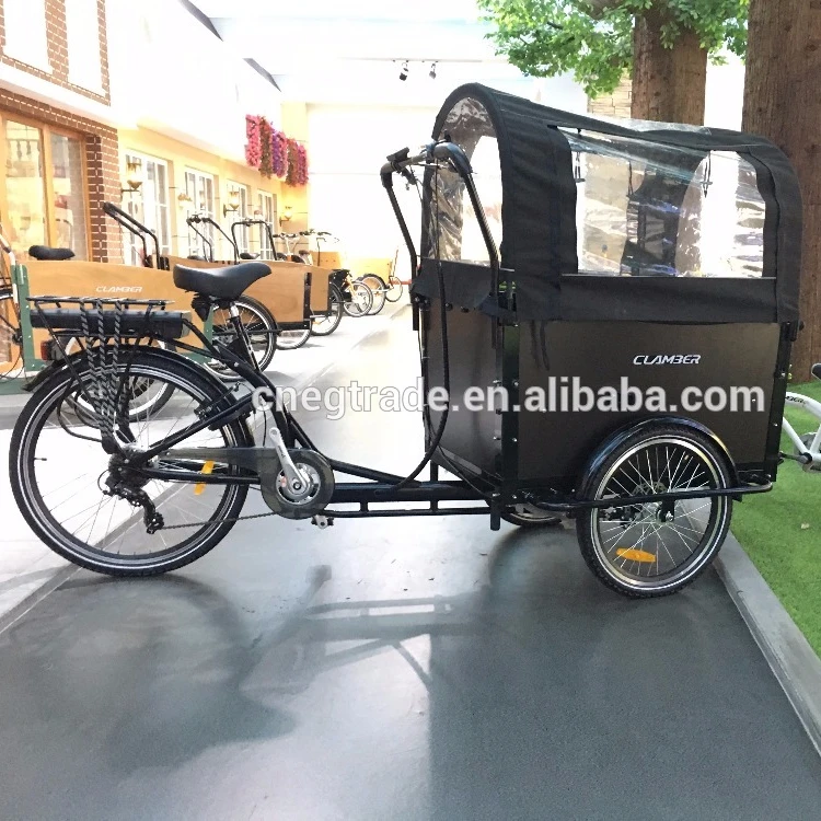 electric family cargo bike