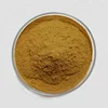 100% Natural Plant Extract Food Grade 2%Carnosic Acid Rosemary Extract