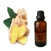 100% Pure Ginger Massage Oil By Supercritical Co2 Applied in Shampoo or Lotions