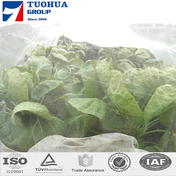 anti insect net56