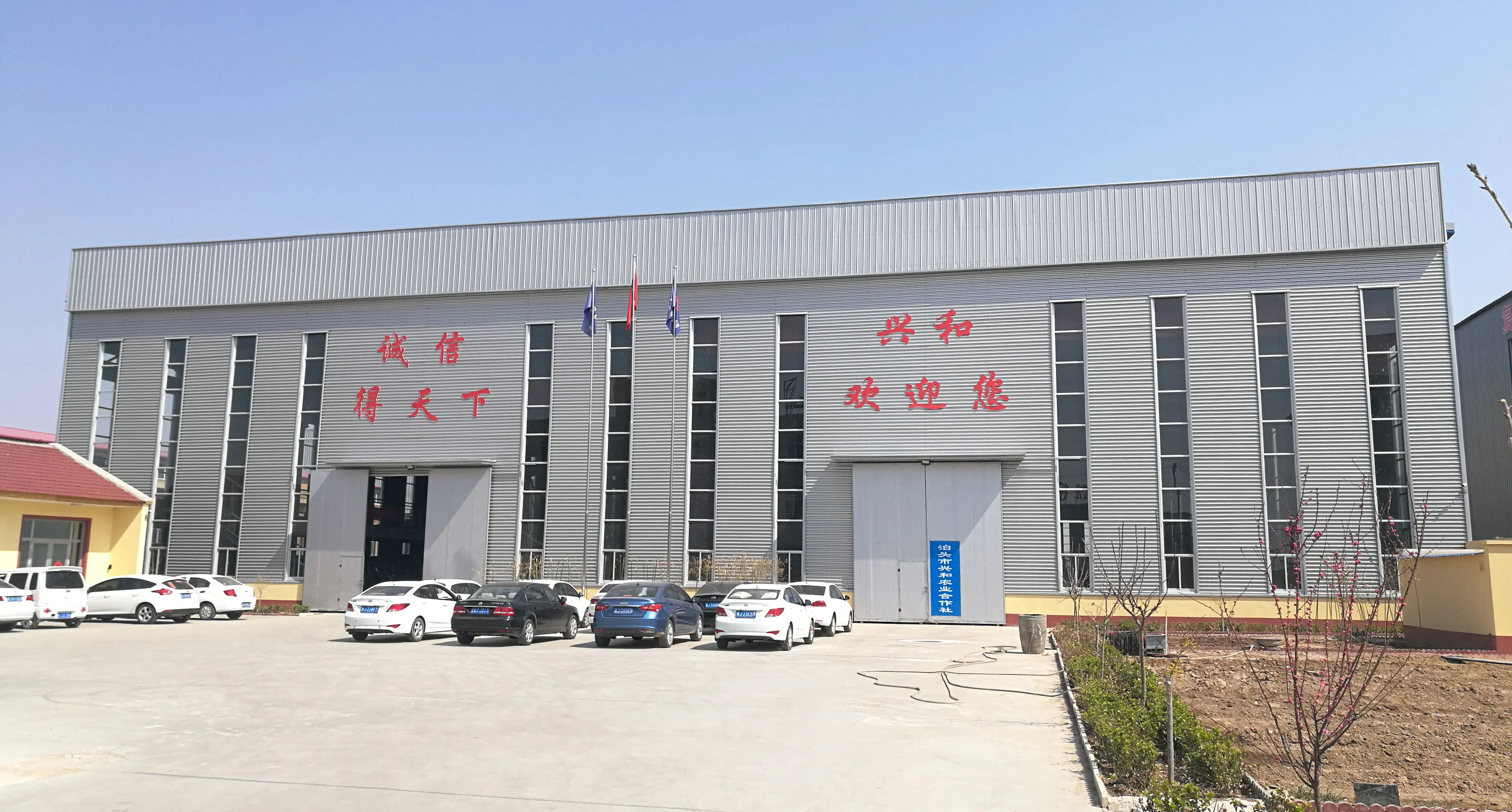 Factory New