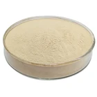 Bacillus Subtilis Feed Additives China Supplier Bacteria Animal Feed Mill Factory
