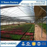 SINOLINK Hydroponic Systems With Film Hydroponics