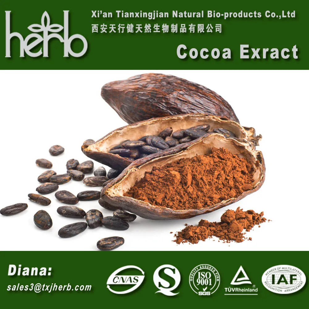 High Quality Cocoa Seed Extract/cocoa P.e./cocoa Polyphenol 10 20 40 Theobromine 1040
