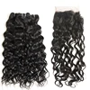 Wholesale Water Wave Wet and Wavy Virgin Brazilian Hair 3pcs with Silk Base Closure Human Hair Free Shipping