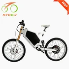 3000W large power electric bicycle with Panasonic battery