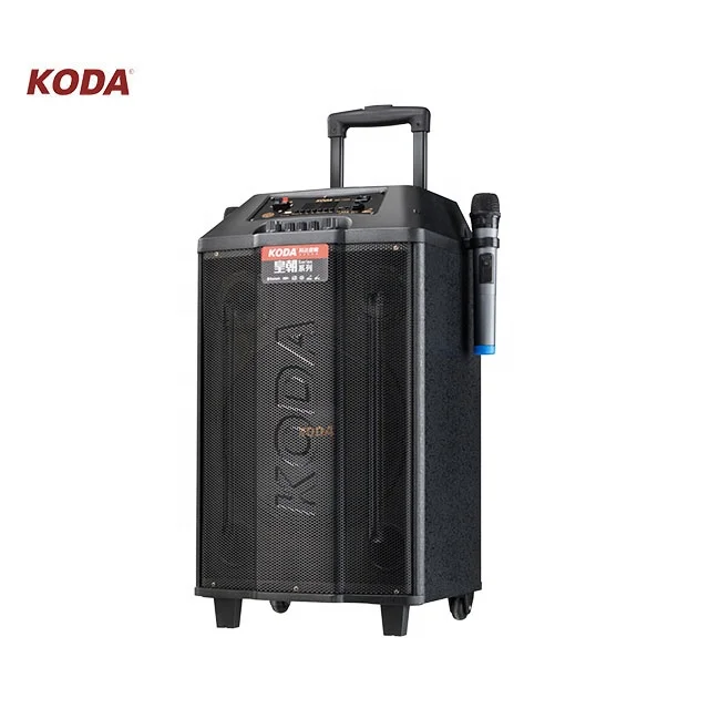 10 inch bass big portable ibastek speaker karaoke with remote control - ANKUX.COM