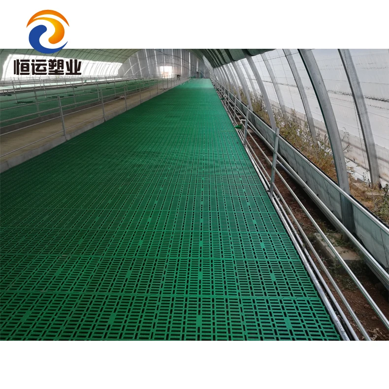 Goat Floor Sheep Pp Plastic Slat Flooring For Goat Sheep Farming