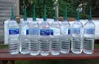 garden flower plant automatic self adjustable bottle top micro drip irrigation watering globe stakes spike