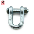 High Quality Attractive D Shackle for Marine Use Galvanized