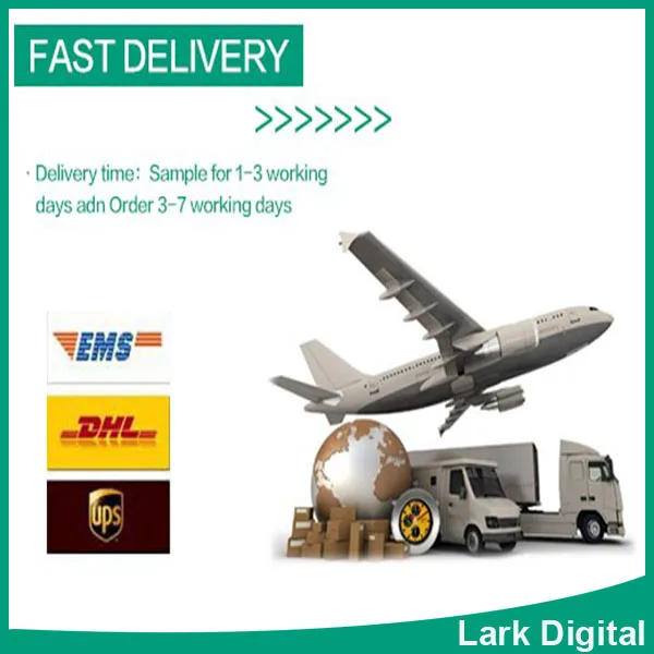 Lark digital Delivery way.jpg