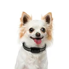 India Free Shipping Dog Collar Tracker Pet GPS Tracking Device For Indoor Outdoor Tracking