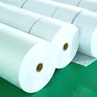 Food grade PE coated white kraft paper