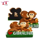 New fashion 3d polystone resin fridge magnet