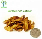 GMP Manufacture Burdock Root Extract powder