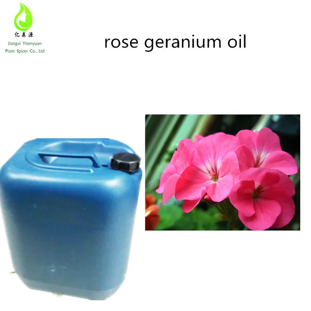 bulk purchase geranium oil rose geranium oil geraniol ingredient