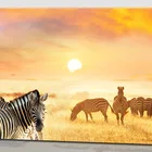 Nice Paintings Decor Art Nice Wild Animal Wooden Wall Led Light Canvas Painting Art For Home Decoration
