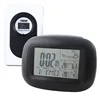 Novelty Home Decorative Indoor Outdoor Weather Station Radio Controlled Digital Wall Clock