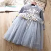 Hao Baby Spring Summer New Long-sleeved Dress Veil Embroidery Of The Girls Party Dress