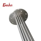 Stainless steel flanged immersion heaters for air water and oil