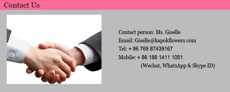 contact information2.jpg