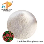 Poultry Probiotics Lactobacillus Rhamnosus Weight Loss Supplements