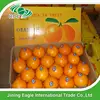 /product-detail/special-offer-best-price-grade-a-navel-oranges-for-export-60582602054.html
