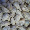 Aquatic Products frozen clam fresh and healthy seafood in hot sale