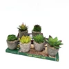 /product-detail/customize-plastic-bonsai-artificial-succulent-potted-plant-artificial-plants-for-home-decoration-62162587955.html