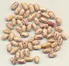 /product-detail/sesame-seed-niger-seed-chick-peas-red-kidney-beans-green-mung--126108449.html
