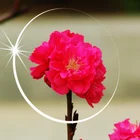 BONA gold supplier single vision 1.56 UV400 HMC EMI plastic lens with good services