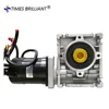 China supply motor 24v 100w brushless electric dc motor with worm gearbox RV30 10:1 ratio