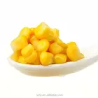 Sweet Corn Oil Flavor/Sweet Cooked Corn Oil Flavour