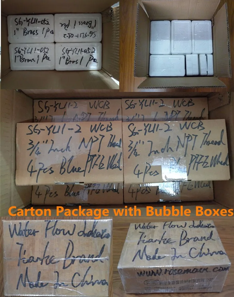 Carton Package with Bubble Box.jpg