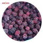 Chinese Export Standard Iqf Fresh Blackberry Fruits Frozen