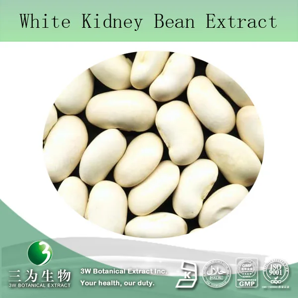 health food white kidney bean extract, white kidney bean extract