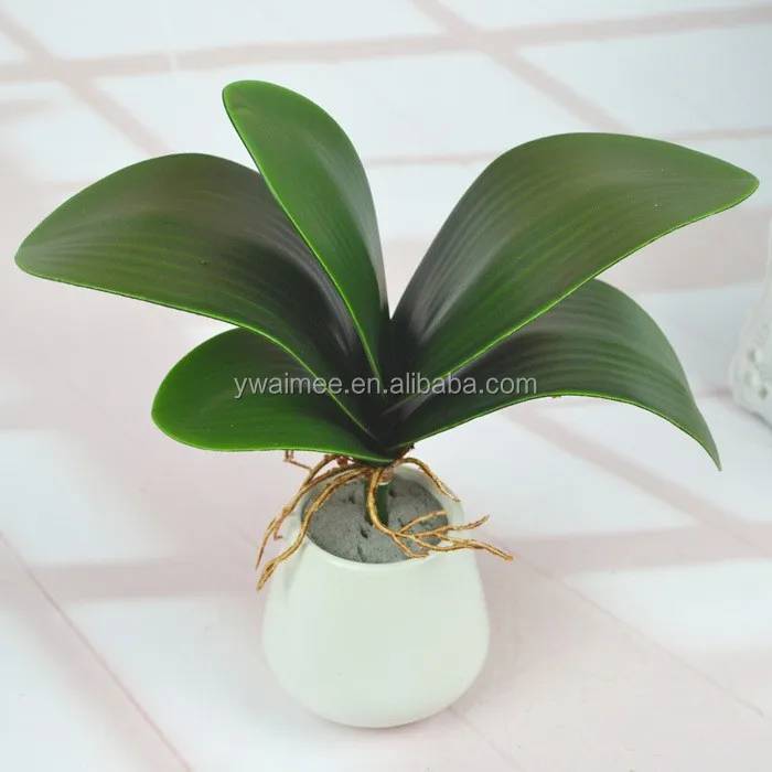 aimee wholesale latex artificial thailand orchid flower plants