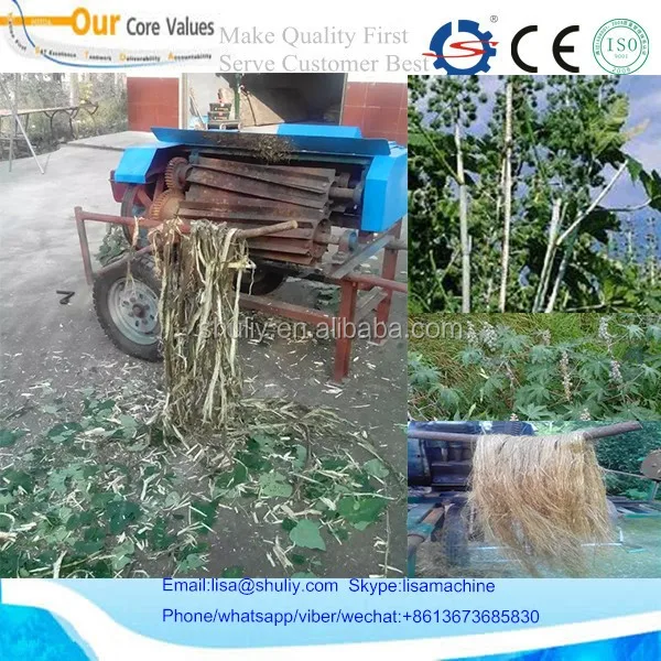 新鲜 Kenaf Decorticator 纤维大麻 defiber 机器 008613673685830| Alibaba.com