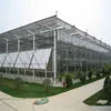 Agricultural 10mm glass greenhouse tempered glass for tomato and strawberry growing